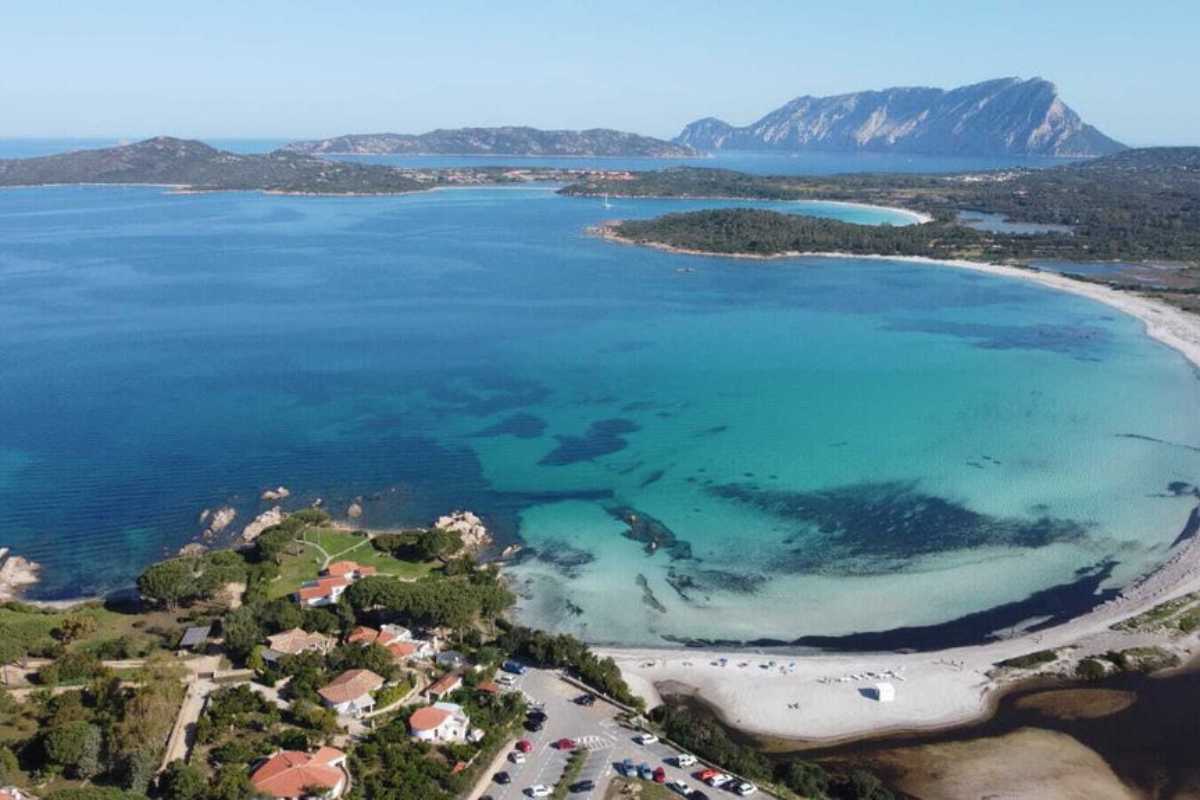 Bambini sorridenti su altalene colorate in un parco giochi moderno a San Teodoro, sfondo verdeggiante, atmosfera di allegria familiare